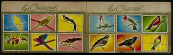 album Margarine Céma, album d'images France 1945-1955 2007.46.44 Photo