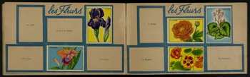 album Album d'images France 1945-1955 2007.46.45 Photo