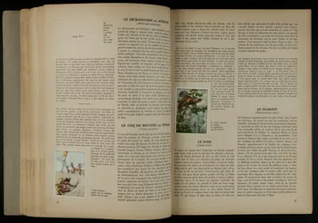album Chasse aux fauves France 1954 2007.46.5 Photo