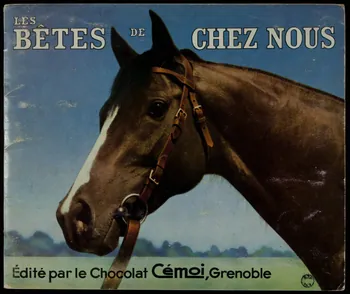 album Les bêtes chez nous France 1960-1970 2007.46.52 Photo