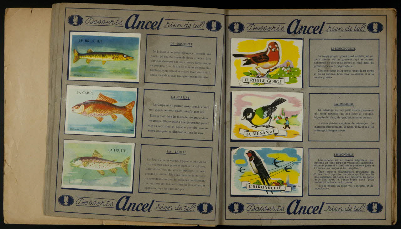 album album  pour les petits collectionneurs friands des bons Desserts Ancel France 1950-1960 2007.46.6 Photo