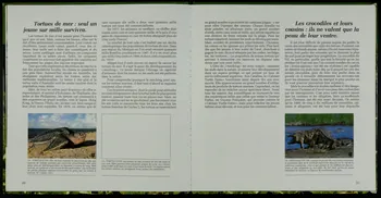 album Antoine Reille raconte les animaux sauvés par l'homme France 1981 2007.46.70 Photo