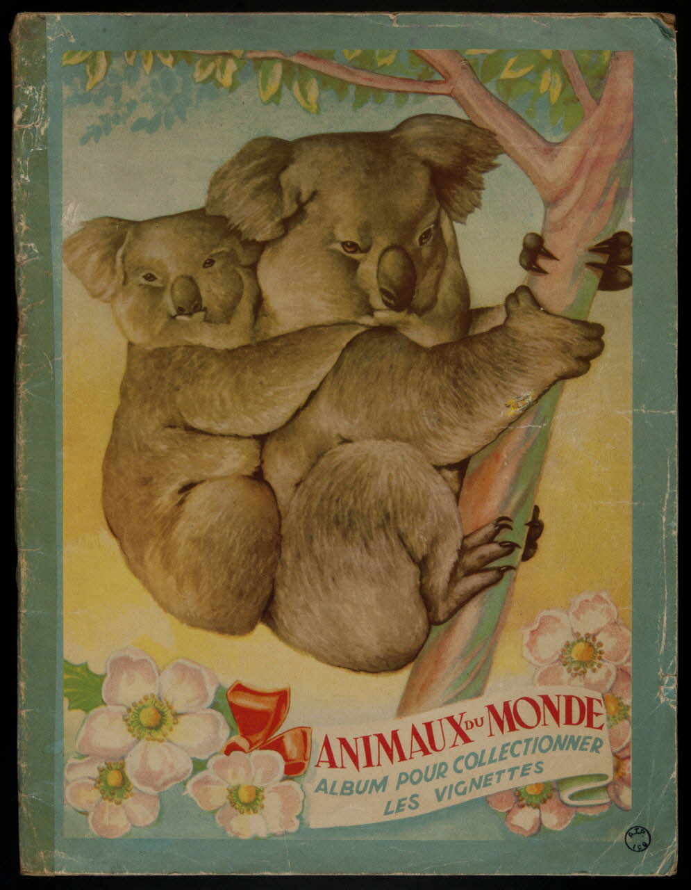 album Animaux du monde France 1945-1955 2007.46.81 Photo