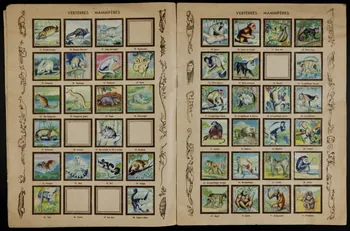 album Animaux du monde France 1945-1955 2007.46.81 Photo