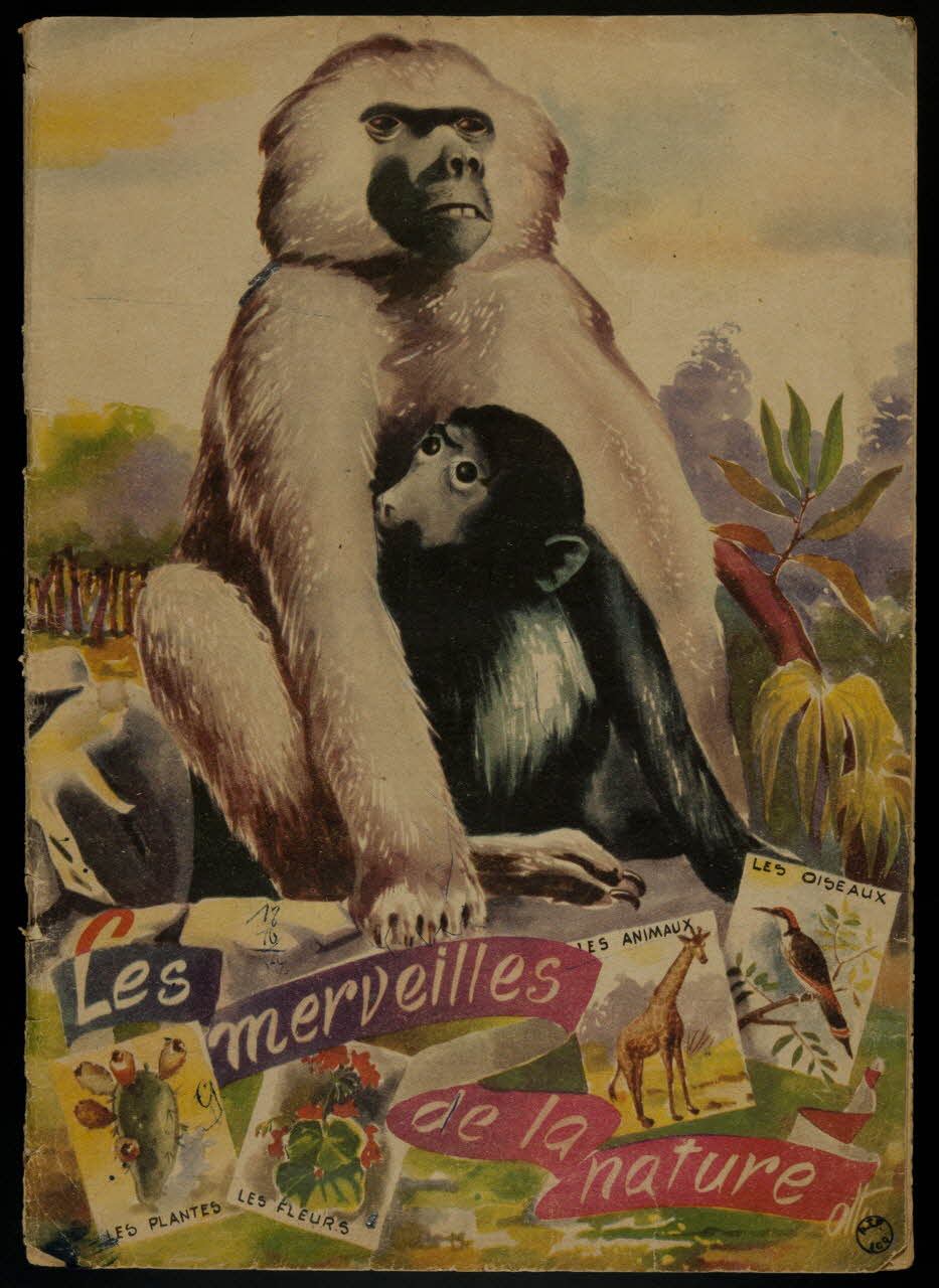 album Les merveilles de la nature France 1945-1955 2007.46.82 Photo