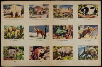 album Le monde des animaux France 1950-1960 2007.46.87 Photo