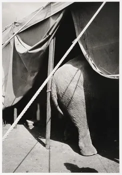 François Tuefferd ; Yvon Le Marlec photographie Fonds Tuefferd 1943 1996.42.90  Photo Mucem / François Tuefferd