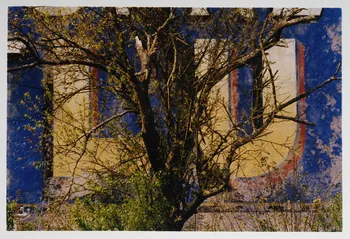 Benjamin Pichery photographie Fonds Benjamin Pichery Centre, France 1980-1989 1999.68.107 Photo