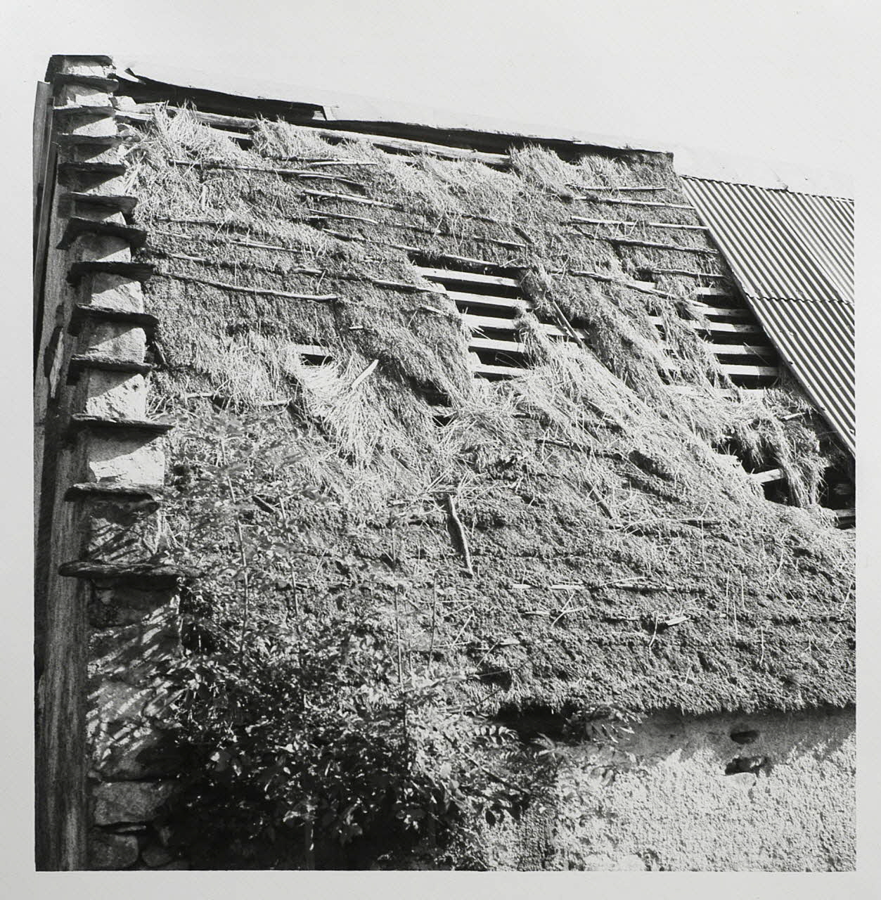 Vittorio Pigazzini photographie Fonds Pigazzini Midi-Pyrénées, France 1988 2004.8.1 Photo