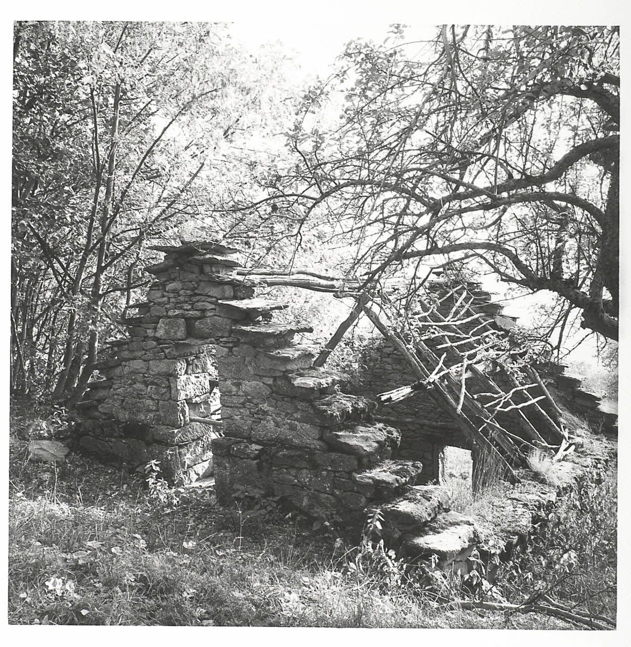 Vittorio Pigazzini photographie Fonds Pigazzini Emilie-Romagne, Italie 1988 2004.8.39 Photo