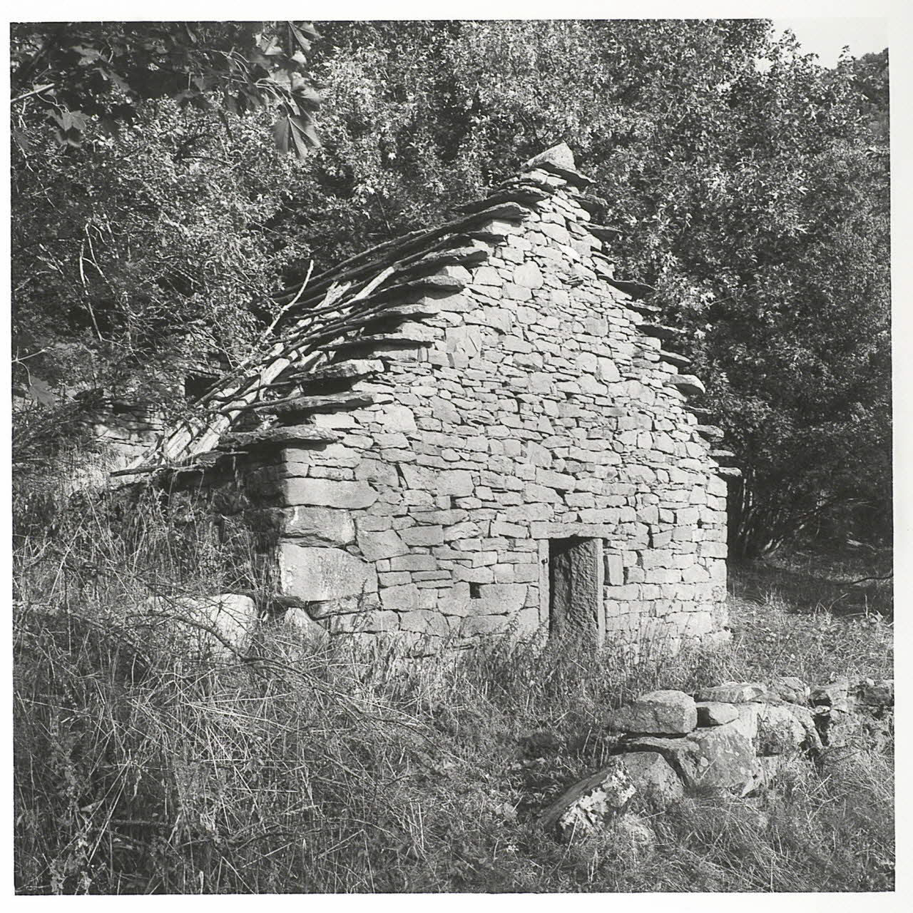 Vittorio Pigazzini photographie Fonds Pigazzini Emilie-Romagne, Italie 1988 2004.8.47 Photo