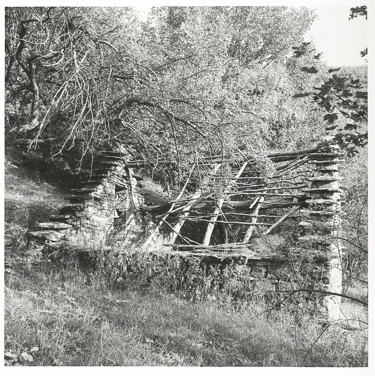 Vittorio Pigazzini photographie Fonds Pigazzini Emilie-Romagne, Italie 1988 2004.8.48 Photo