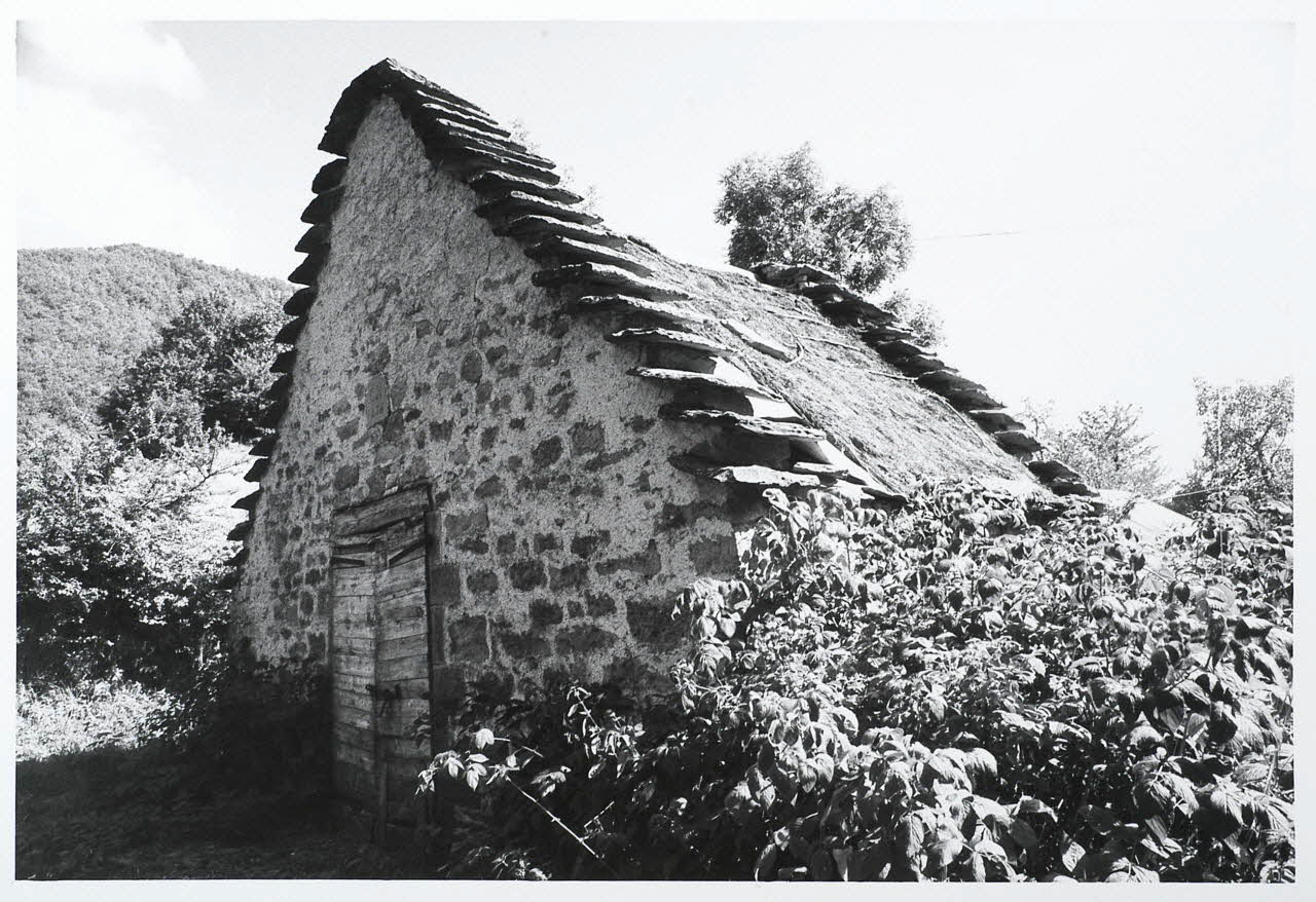 Vittorio Pigazzini photographie Fonds Pigazzini Emilie-Romagne, Italie 1988 2004.8.50 Photo