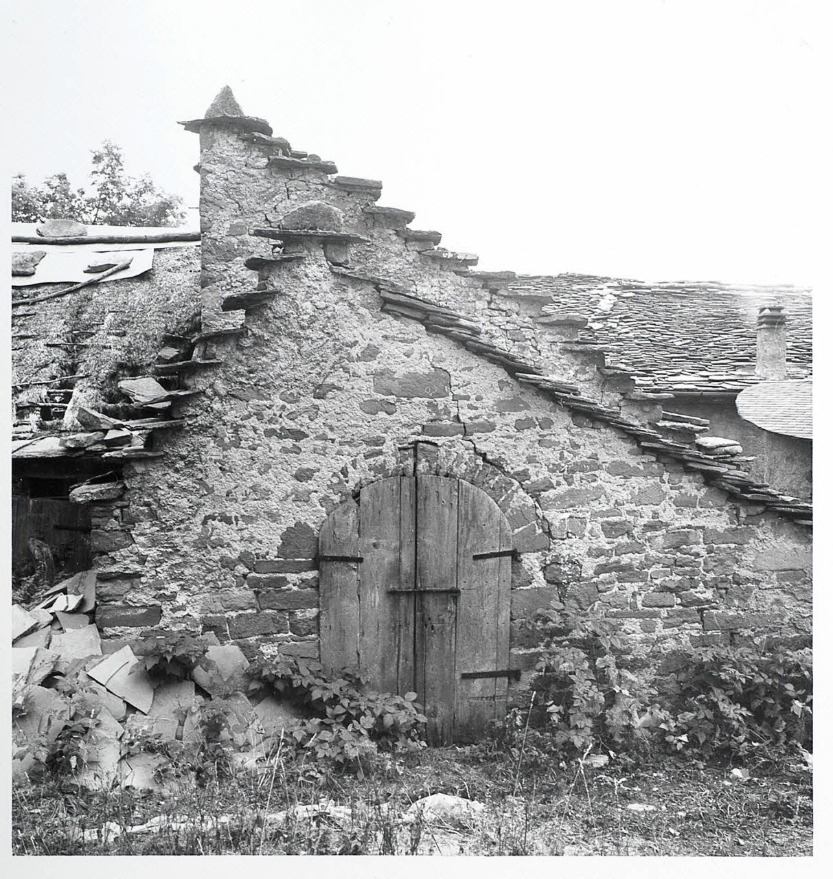 Vittorio Pigazzini photographie Fonds Pigazzini Emilie-Romagne, Italie 1982 2004.8.52 Photo