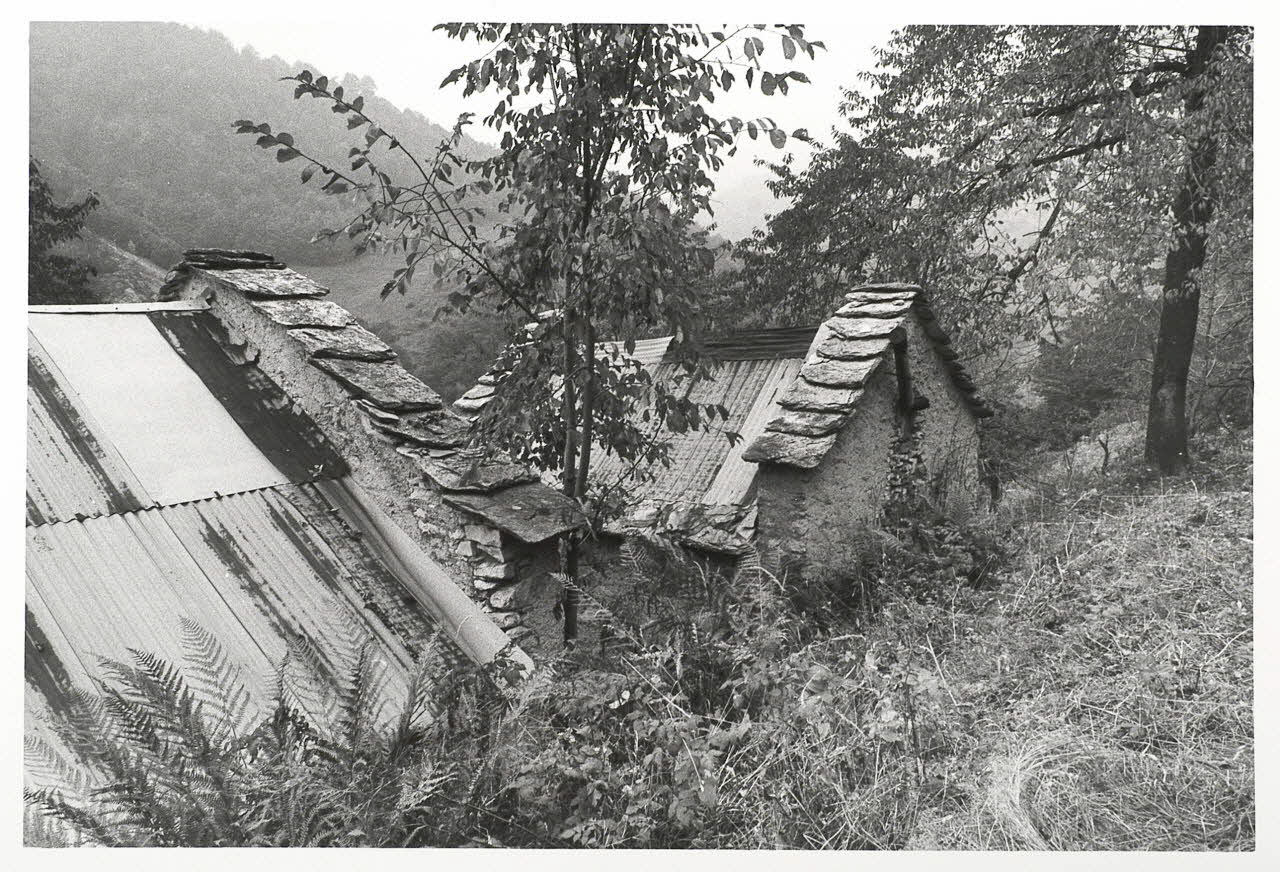 Vittorio Pigazzini photographie Fonds Pigazzini Piémont, Italie 1988 2004.8.61 Photo