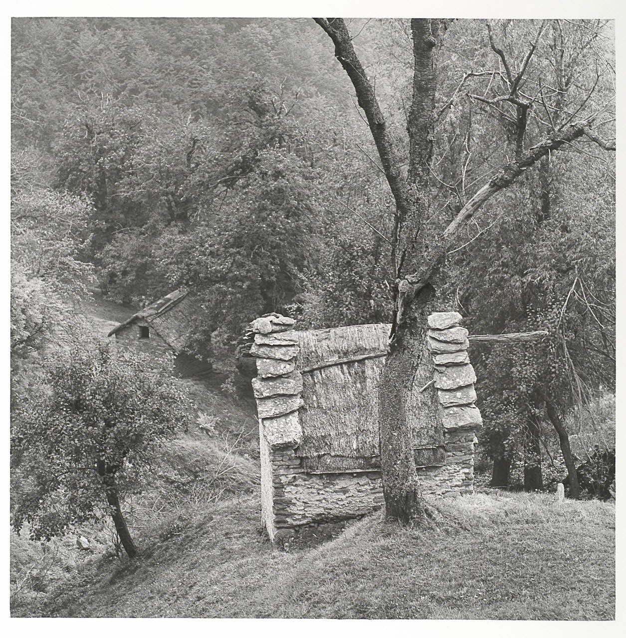 Vittorio Pigazzini photographie Fonds Pigazzini Piémont, Italie 1988 2004.8.64 Photo