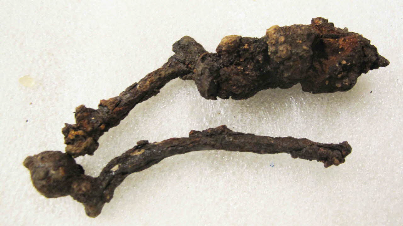 éperon 1982.49.33.1-4 Photo