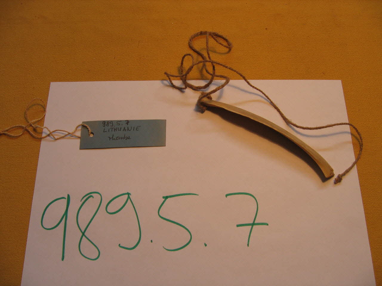 rhombe DMH1989.5.7  Photo