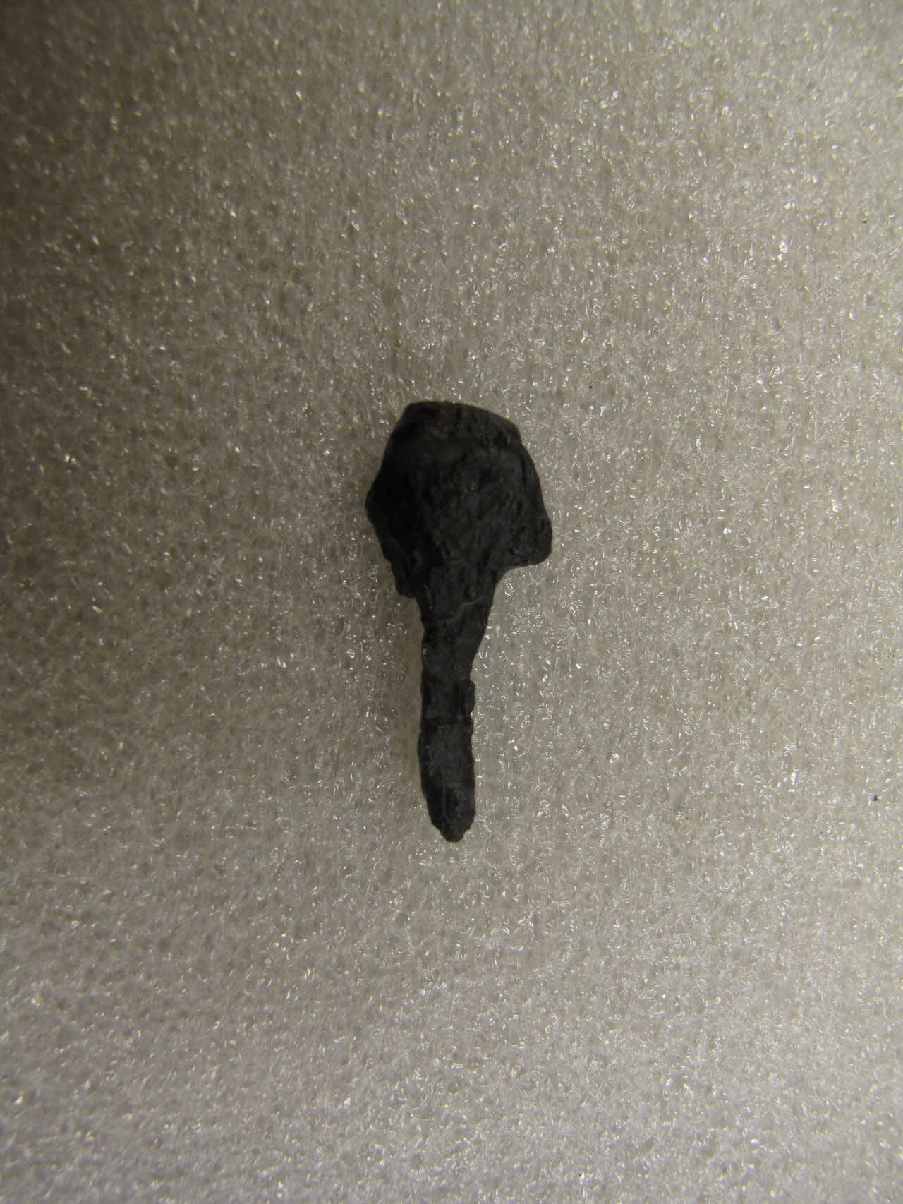 CLOU A FERRER 1984.45.20 Photo