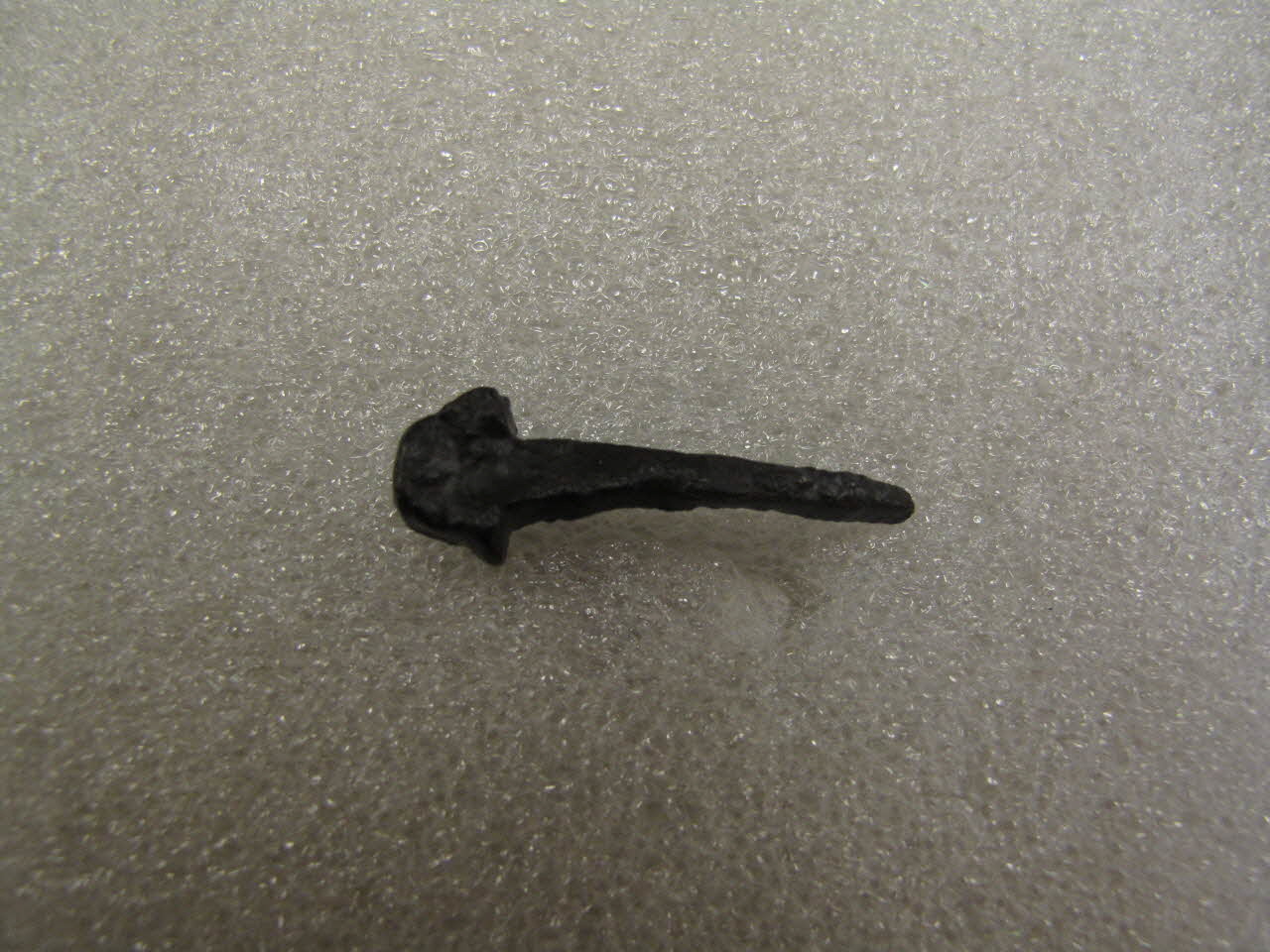 CLOU A FERRER 1984.45.21 Photo