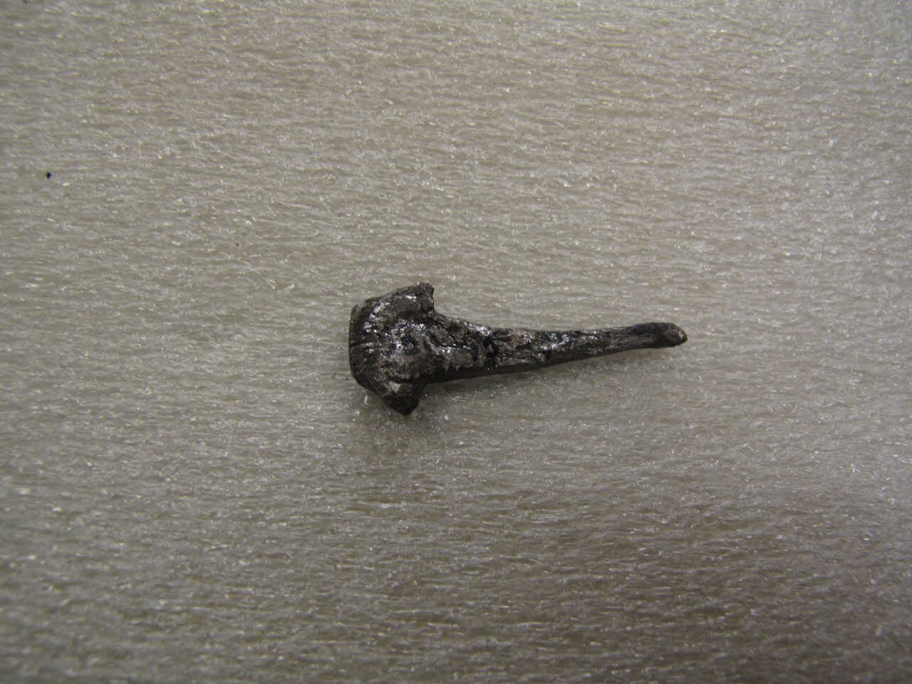 CLOU A FERRER 1984.45.24 Photo