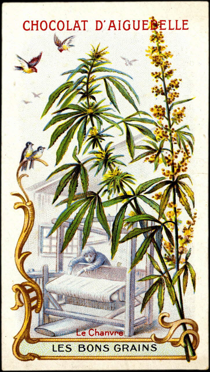 Edition de la Chocolaterie d'Aiguebelle carte réclame chromo Aiguebelle 1900-1919 1996.40.370.2 Photo