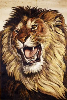 affiche Lion 1955.46.80 Photo