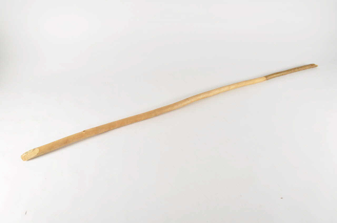 BRANCHE 1967.48.24 Photo Mucem