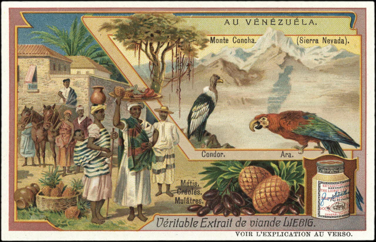 Liebig carte réclame chromo 1907 1995.1.2982.5 Photo