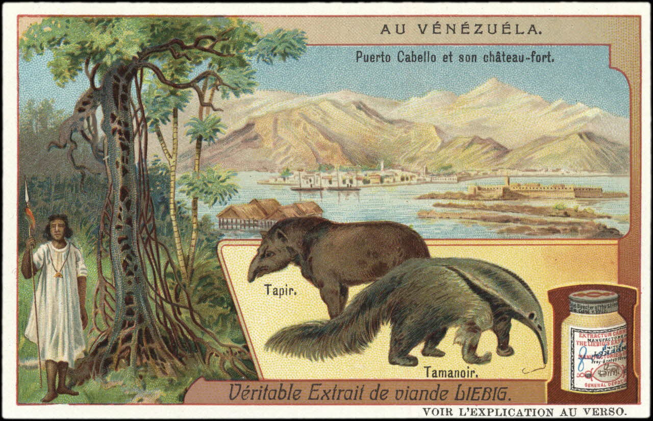 Liebig carte réclame chromo 1907 1995.1.2982.6 Photo