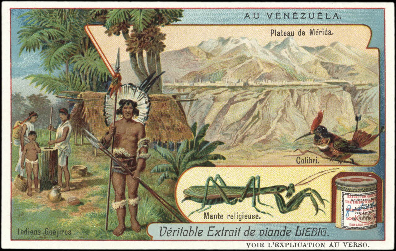 Liebig carte réclame chromo 1907 1995.1.2982.2 Photo