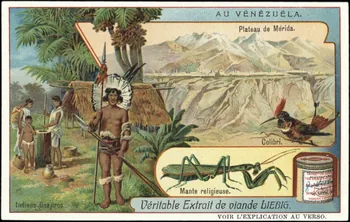 Liebig carte réclame chromo 1907 1995.1.2982.2  Photo