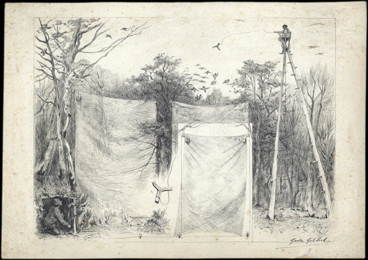 Gélibert Gaston dessin Chasseurs landais 1939-1949 D1953.15.174 Photo