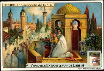 Liebig carte réclame chromo 1911 1995.1.2956.4 Photo