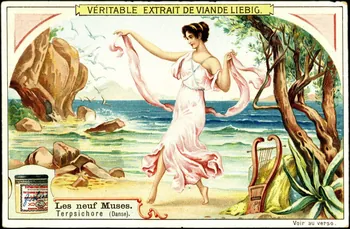 Liebig carte réclame chromo Paris 1910 1995.1.2307.4 Photo
