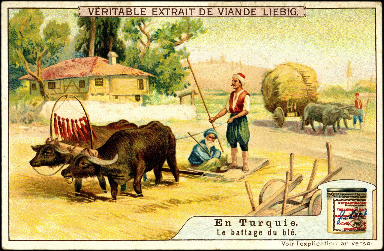 Liebig carte réclame chromo Anvers 1910 1995.1.2677.5 Photo