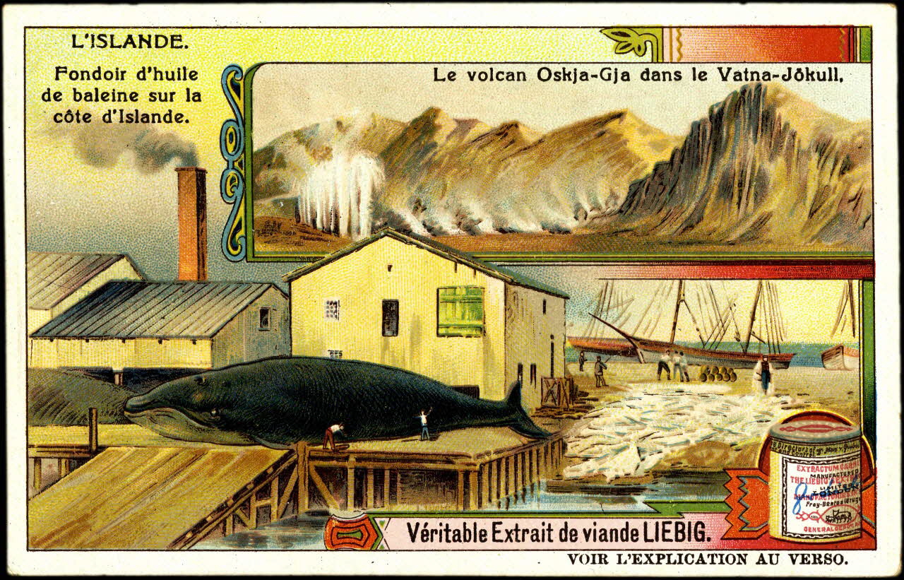 Liebig carte réclame chromo 1911 1996.40.281.5 Photo (c) Mucem