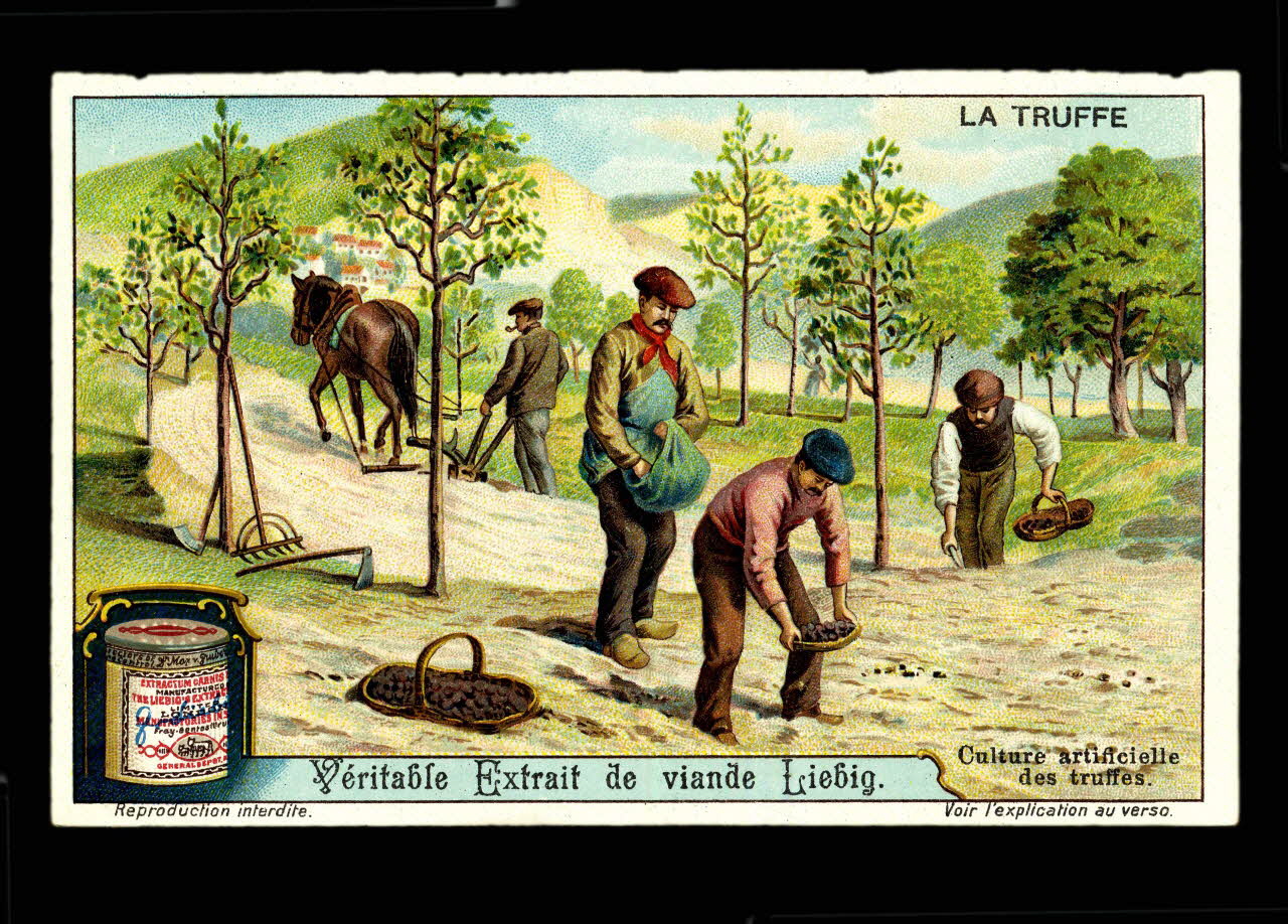 Liebig carte réclame chromo 1911 1995.1.2967.3 Photo