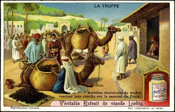 Liebig carte réclame chromo 1911 1995.1.2967.4  Photo