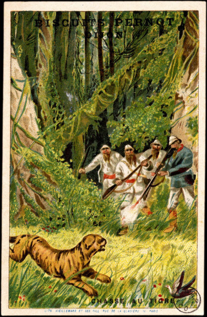 carte réclame CHASSE AU TIGRE 1975.3.62 Photo