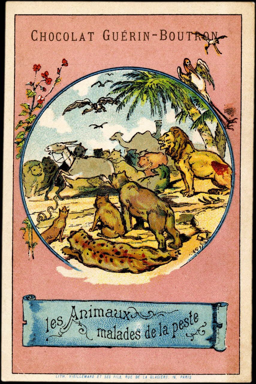 V. AQ (illisible) ? ; Baster & Vieillemard carte réclame chromo Paris 1889-1895 1995.1.3132.2 Photo