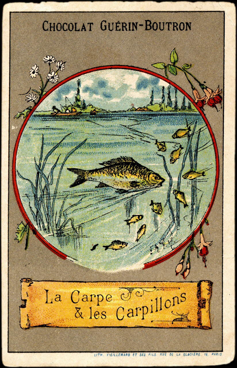 V. AQ (illisible) ? ; Baster & Vieillemard carte réclame chromo Paris 1889-1895 1995.1.3132.3 Photo