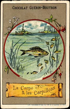 V. AQ (illisible) ? ; Baster & Vieillemard carte réclame chromo Paris 1889-1895 1995.1.3132.3  Photo