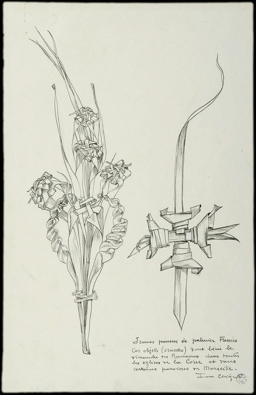 Jean Chièze dessin Jeunes pousses de palmier tressées 1900-1925 1941.9.1 Photo