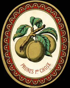 étiquette publicitaire PRUNES 1ER. CHOIX 1960.66.132  Photo