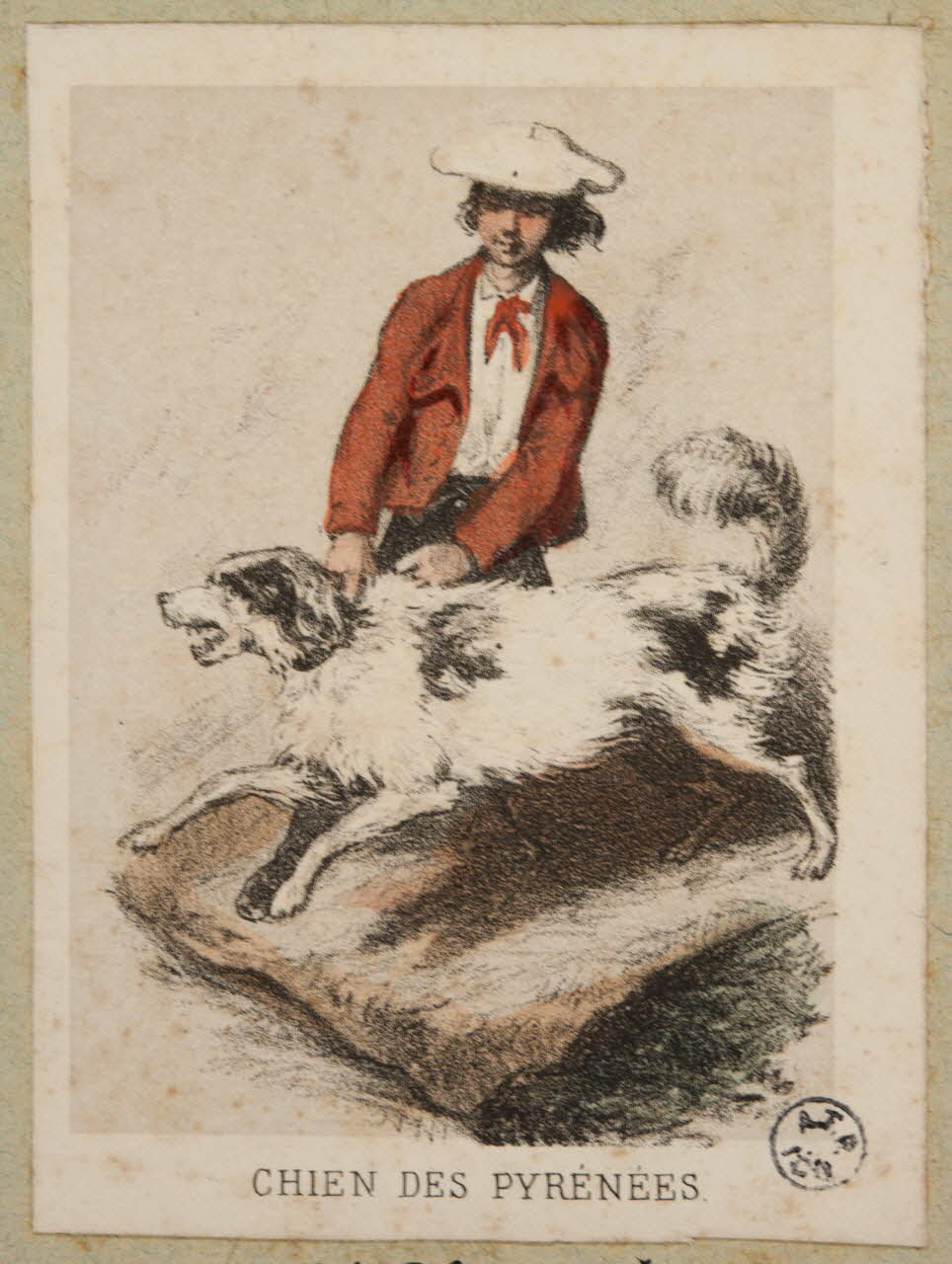 Frick ; Lalonde G. estampe 50 Costumes des Pyrenées  pris d'après Nature  CHIEN DES PYRENEES. Paris 1855-1865 1936.1.106 Photo