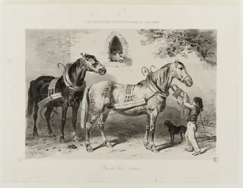Lalaisse François Hippolyte estampe CIRCONSCRIPTION DU DEPÔT D'ETALONS DE LANGONNET.  Race du Léon. (Finistère) France 1839-1884 1938.11.105 Photo
