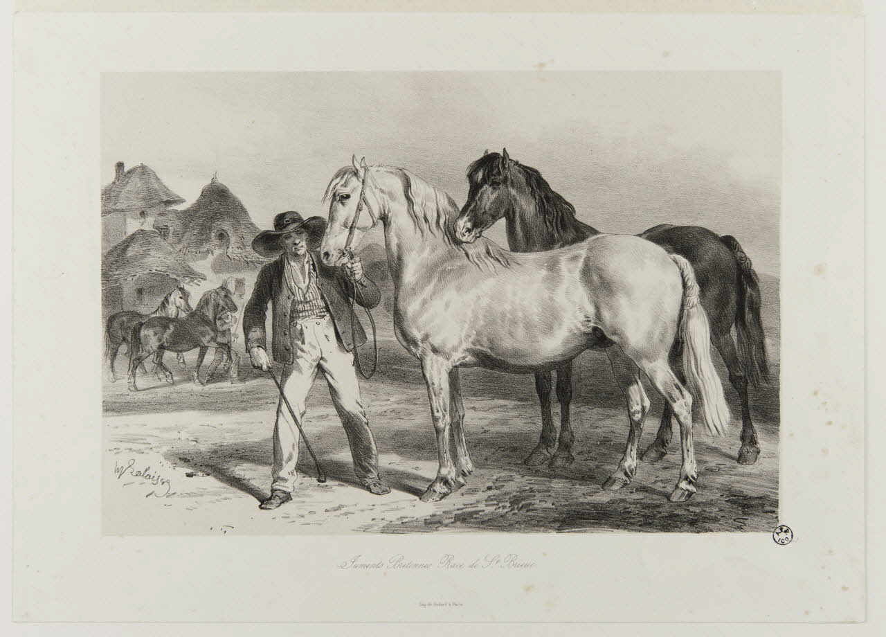 Lalaisse François Hippolyte ; Godard estampe Juments Bretonnes. Race de St. Brieuc. Paris 1839-1884 1938.11.106 Photo