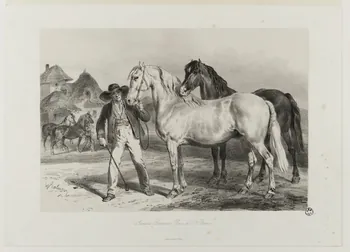Lalaisse François Hippolyte ; Godard estampe Juments Bretonnes. Race de St. Brieuc. Paris 1839-1884 1938.11.106 Photo