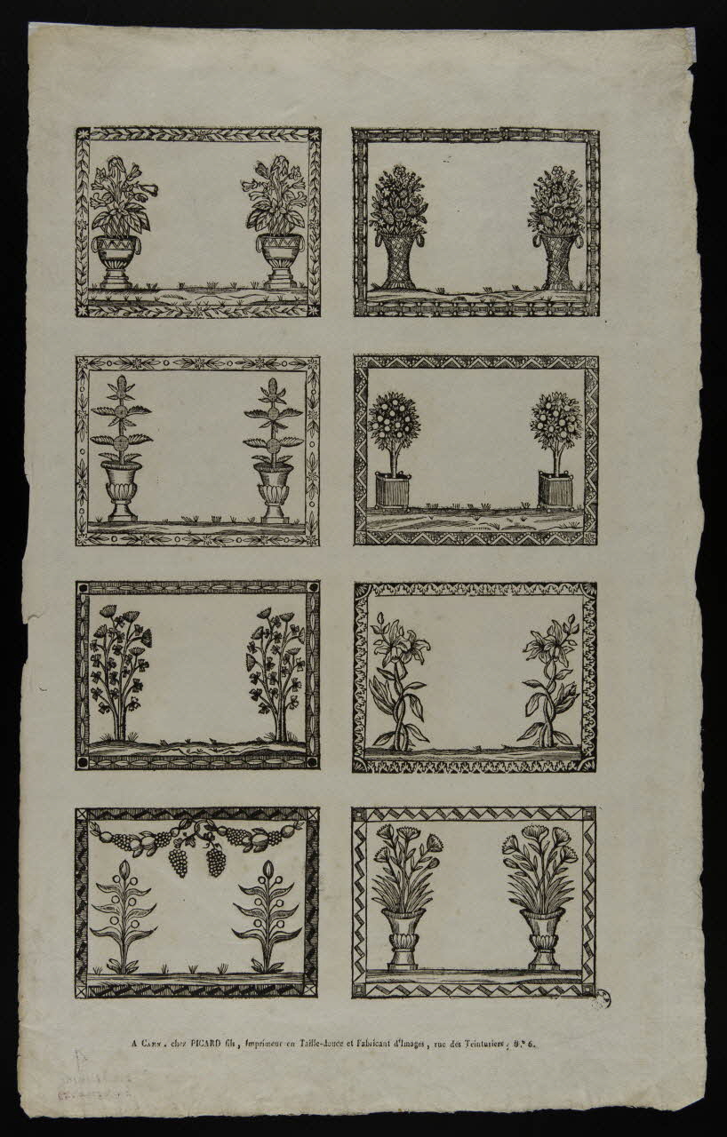 Alphonse Picard imagerie ancienne Vignettes avec des plantes Caen 1828-1838 1938.25.150 Photo